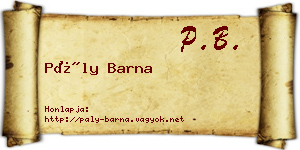 Pály Barna névjegykártya